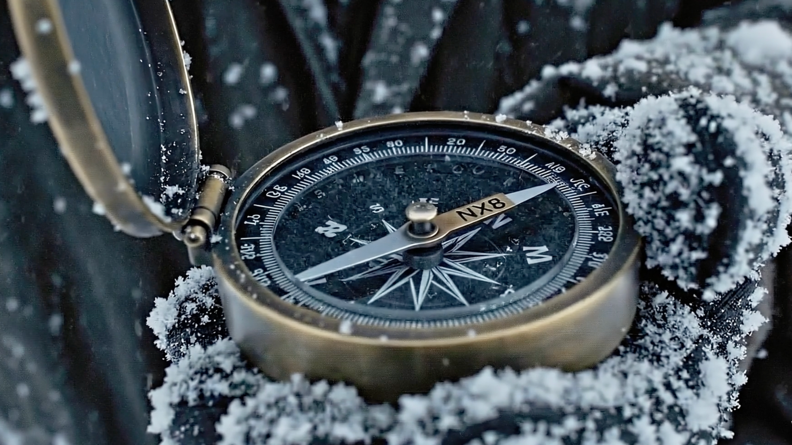 Announcing NX8: A New Chapter for OpenDelta